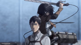 Mikasa slash Marco