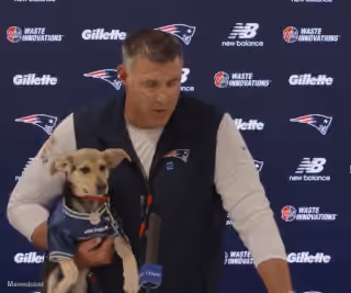 Mike Vrabel with a Pet at a Press Conference