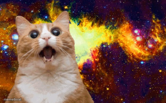 Mind Blown cat - meme generator image preview