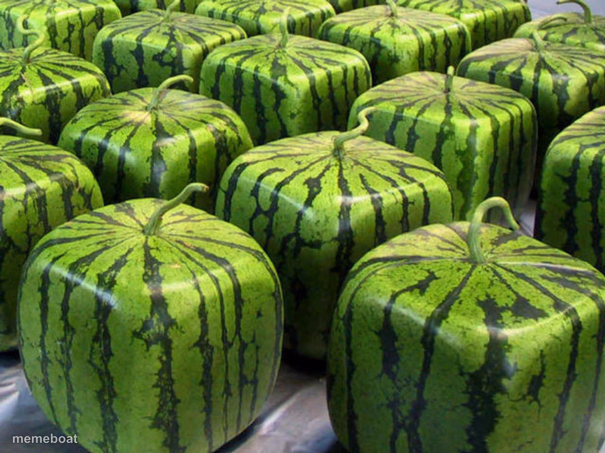 Minecraft Melons - meme generator image preview
