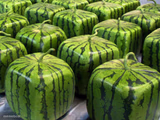 Minecraft Melons