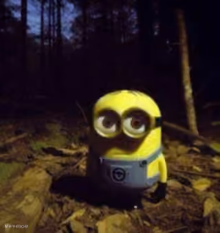 Minion Staring in the Forest