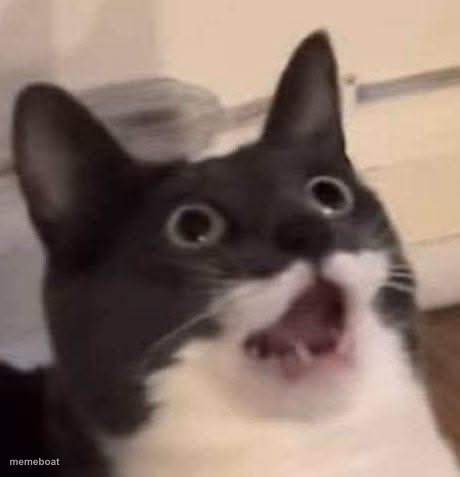 mios dios! - meme generator image preview