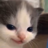 Mischief