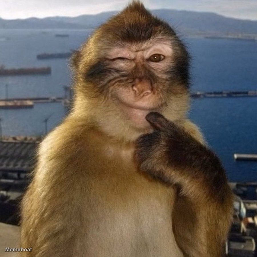 Mischievous Monkey - meme generator image preview