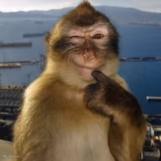 Mischievous Monkey