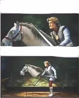 Misleading Shrek Knight