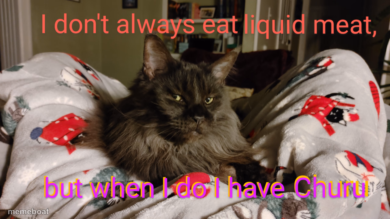 Mister the Cat - meme generator image preview