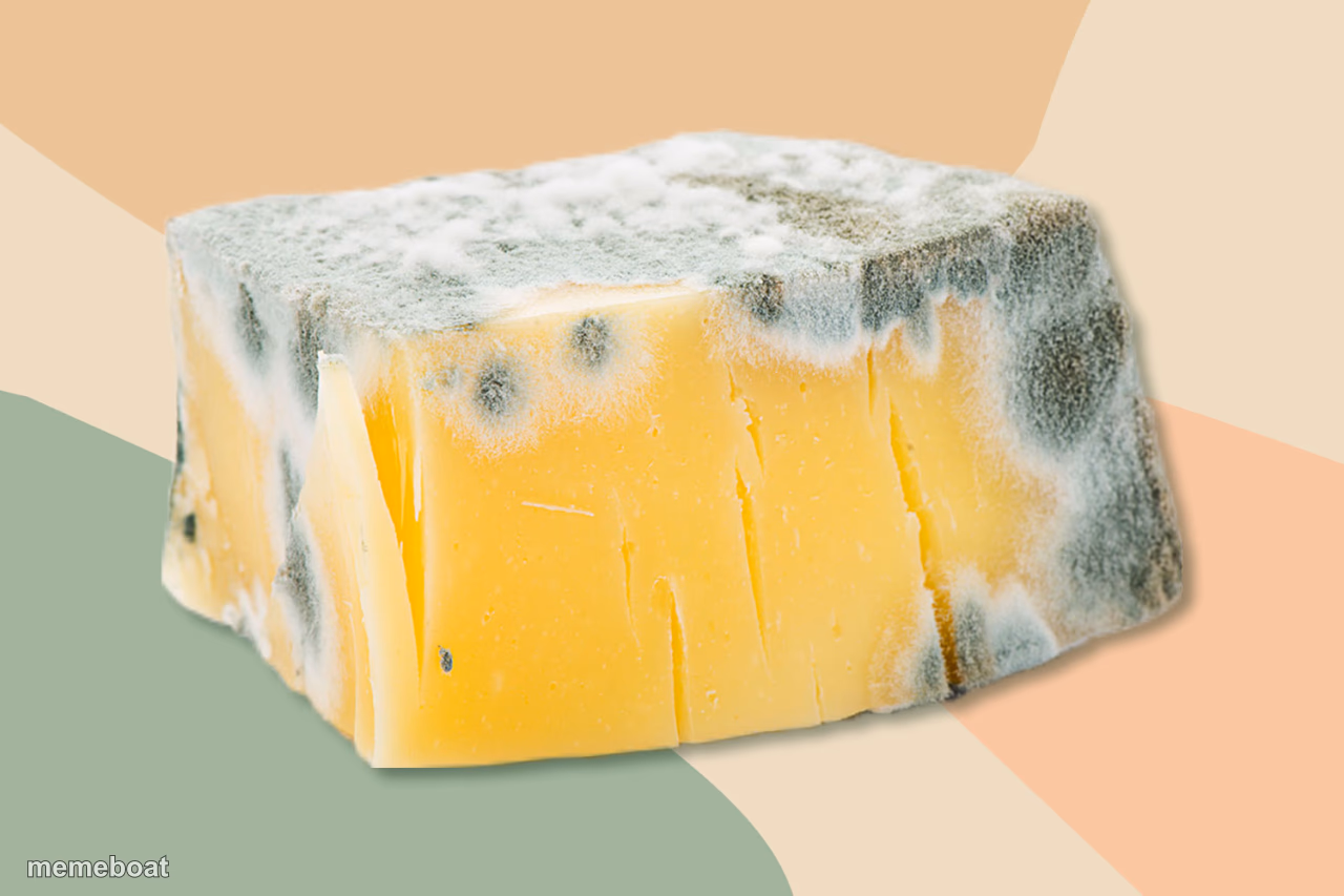 Moldy cheese - meme generator image preview