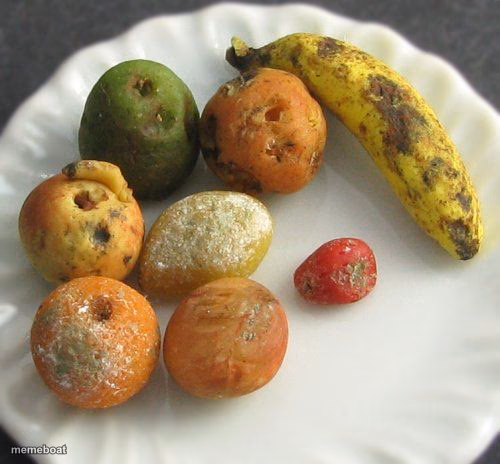 Moldy fruit - meme generator image preview