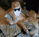 MONEY CAT - ALTERNATIVE FACTS
