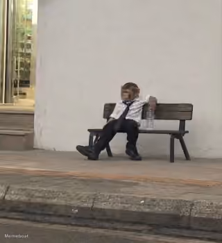 Monkey deep in thought