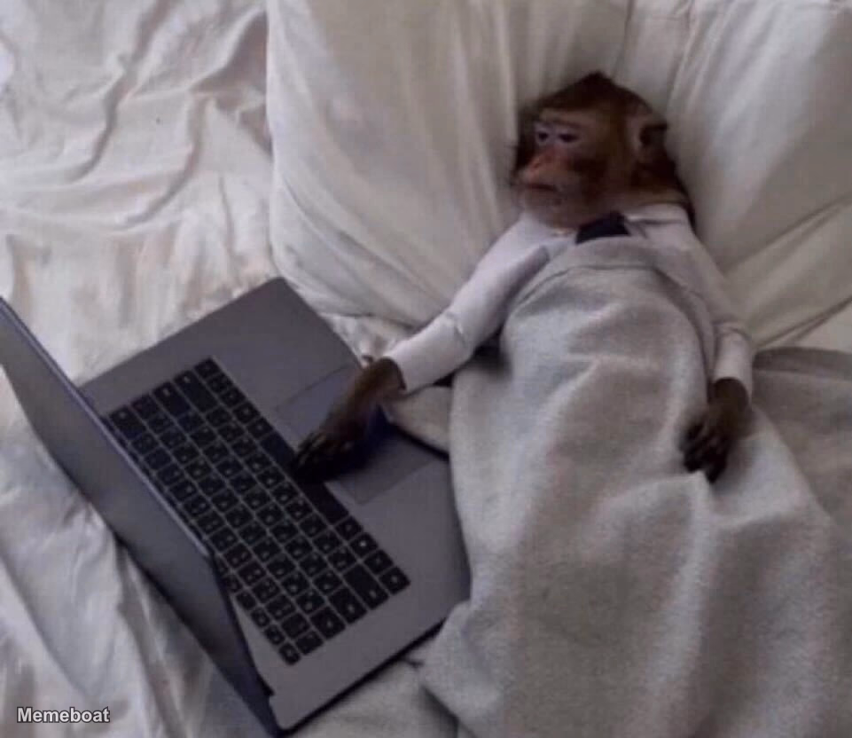 Monkey In Bed With Laptop - meme generator image preview