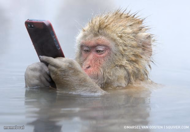 monkey mobile phone - meme generator image preview