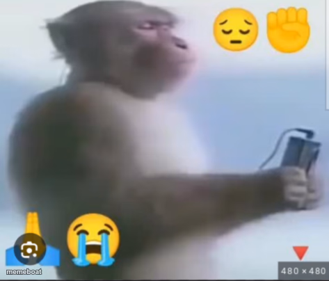 Monkey on Phone - meme generator image preview
