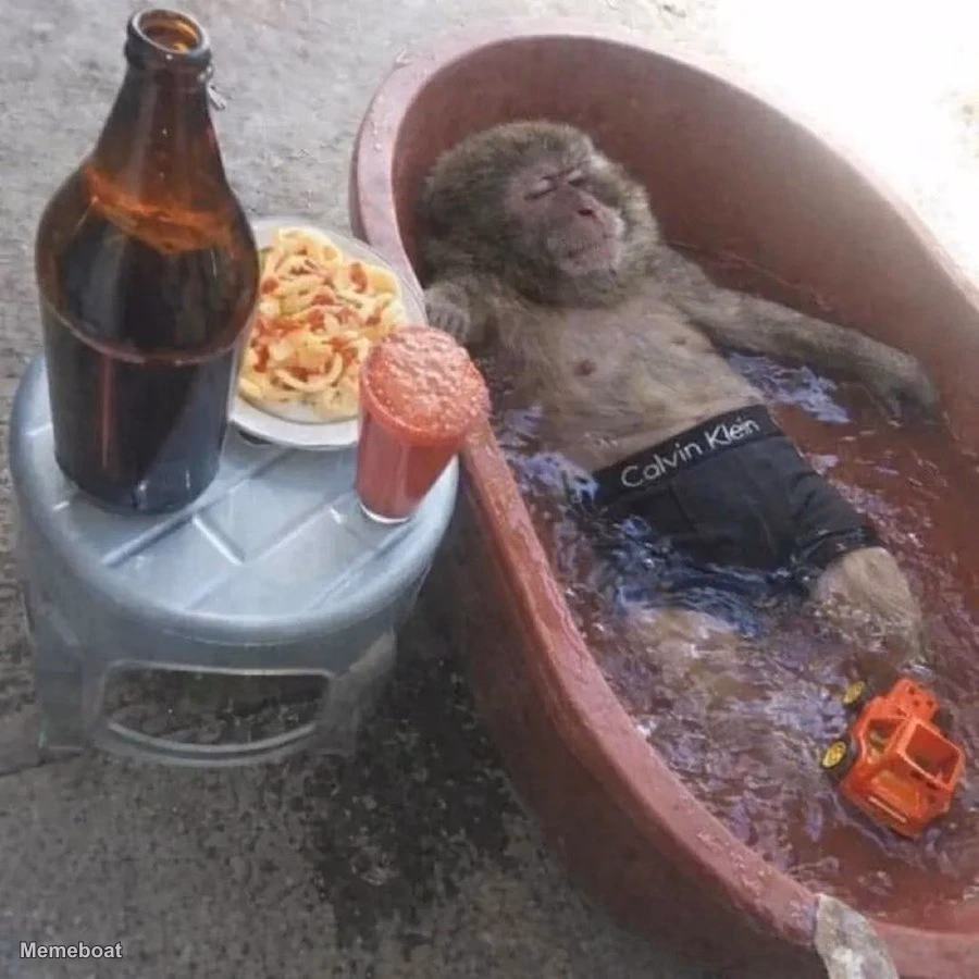 Monkey Relaxing in a Tub - meme generator image preview