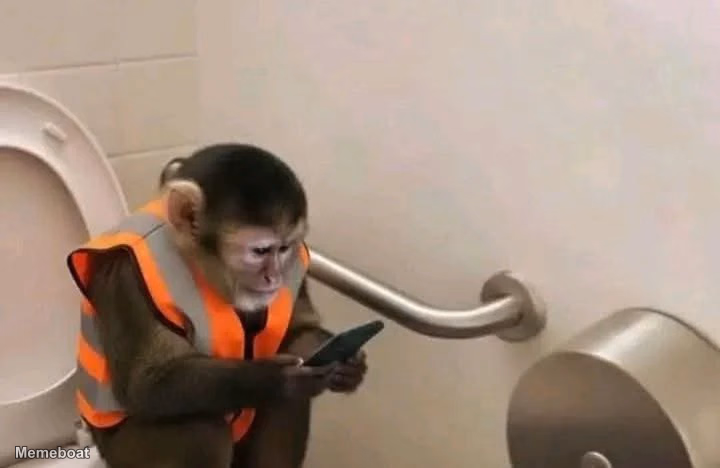 Monkey Using a Phone in a Bathroom - meme generator image preview