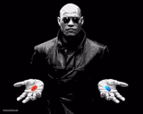 morpheus matrix blue pill red pill