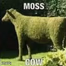 Moss Cow