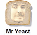 mr yeast