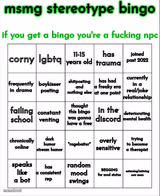 msmg stereotype bingo