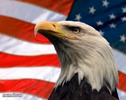 Murica Patriotic Eagle - meme generator image preview