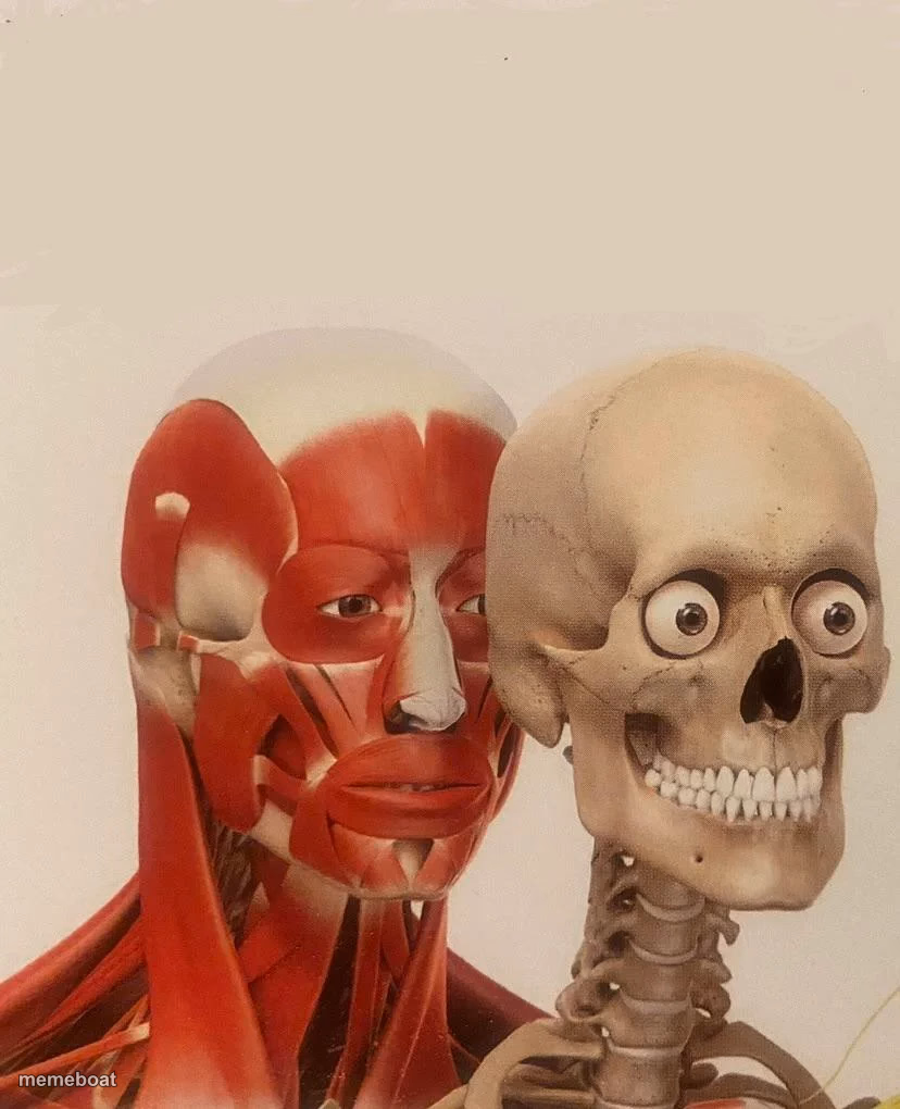 muscle behind skeleton - meme generator image preview