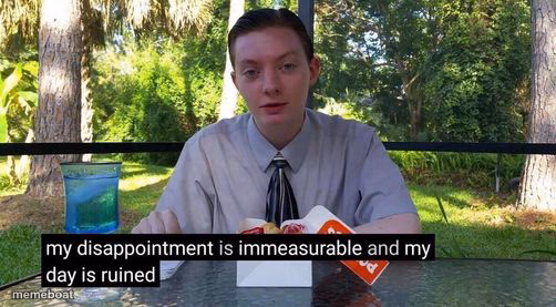 my day is ruined and my disappointment is immeasurable - meme generator image preview