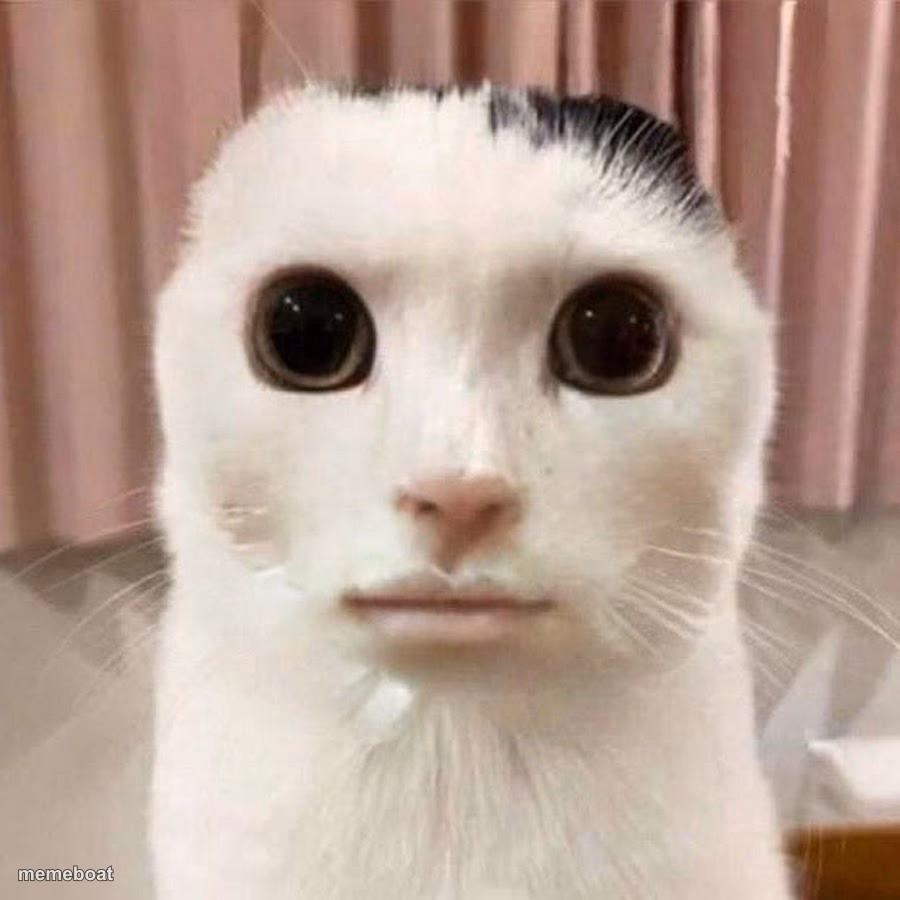 My honest reaction - meme generator image preview