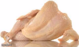 Naked Chick