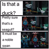 Name that bird