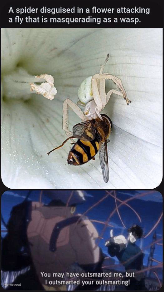 Nature - meme generator image preview