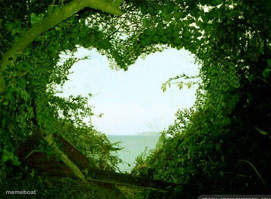nature heart - meme generator image preview