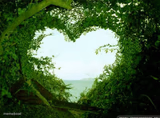nature heart