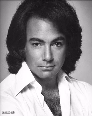 Neil Diamond Approves - meme generator image preview