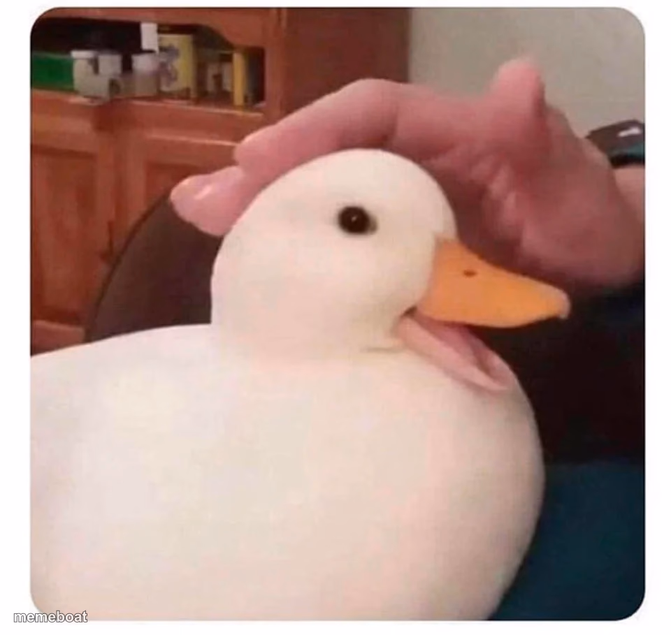 nice duck - meme generator image preview