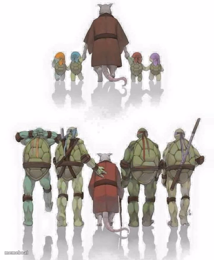 Ninja Turtles Evolution - meme generator image preview