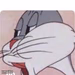 No Bugs Bunny
