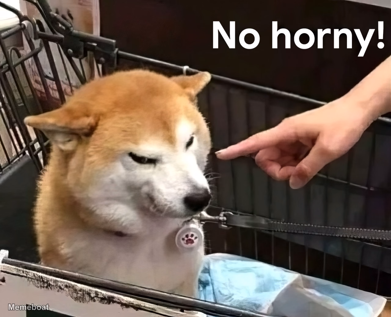No Horny! - meme generator image preview