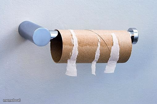 No More Toilet Paper - meme generator image preview