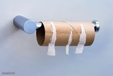 No More Toilet Paper