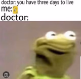 Nonononononononononono please