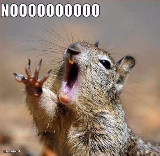 noooooooooooooooooooooooo - meme generator image preview