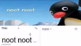 noot noot google translate