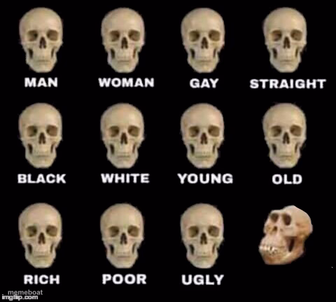Normal weird skull - meme generator image preview