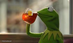 not my business kermit