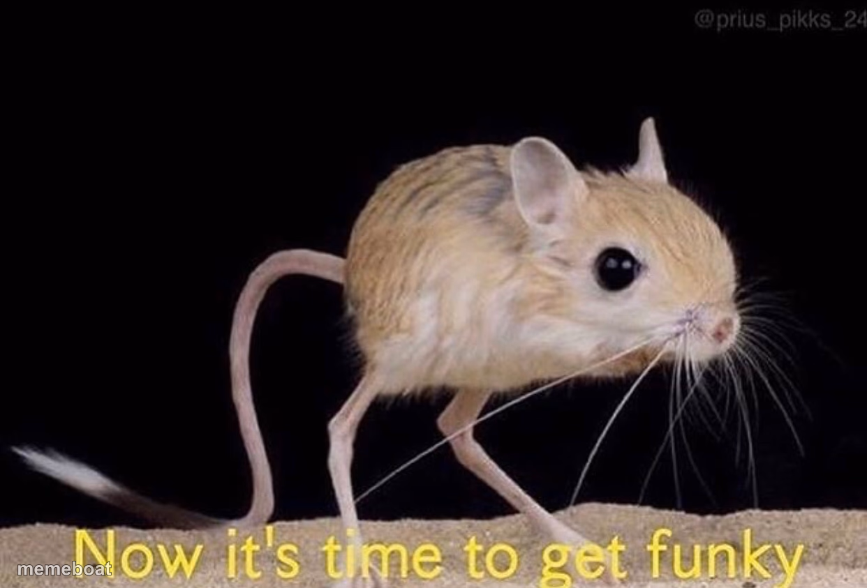 Now it’s time to get funky - meme generator image preview
