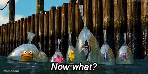 Now What? - meme generator image preview