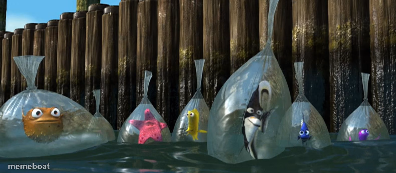 Now What - Finding Nemo - meme generator image preview
