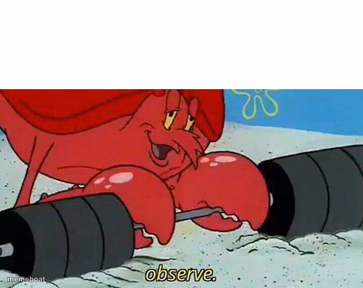 Observe - meme generator image preview